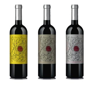 Núcleo: Malbec – Cabernet Sauvignon – Blend